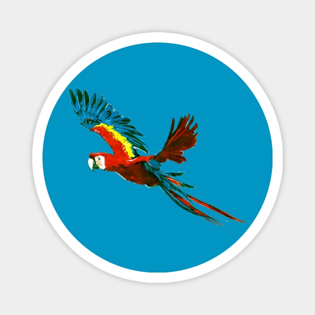 Scarlet Macaw 2 Magnet by A.E. Kieren Illustration